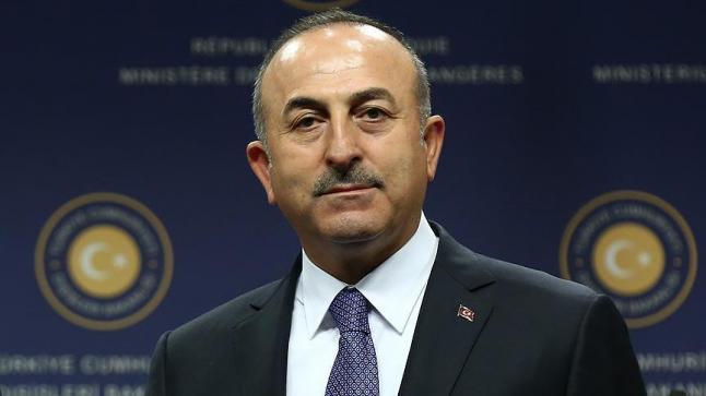وزير خارجية تركيا يقدم التعازي لنظيره المصري في ضحايا تفجير الكنيستين