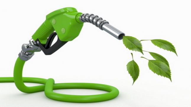 دراسة صادمة : الوقود الحيوي أسوأ للبيئة من البترول العادي !