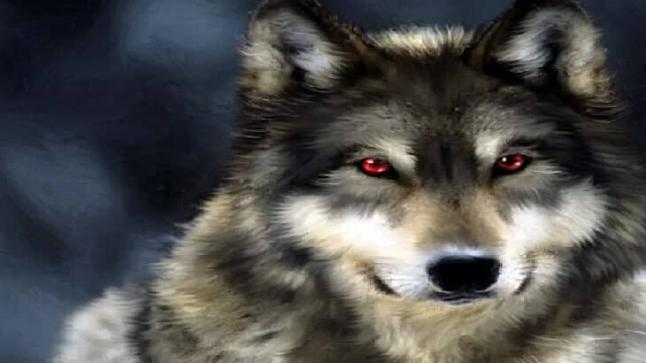 تفسير حلم الذئب في المنام لابن سيرين والنابلسي